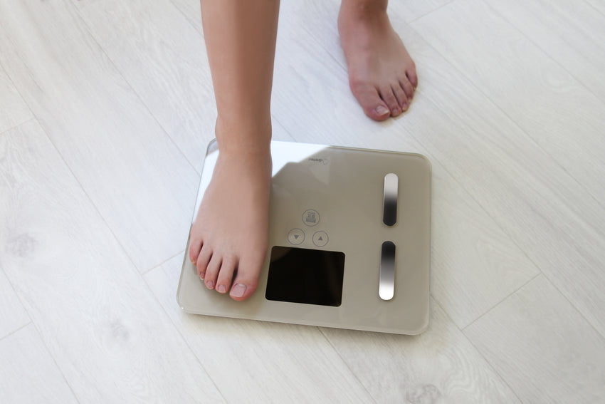 Body Fat Scale 體脂磅
