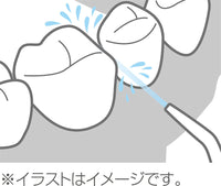 Portable Flosser 
水牙線機